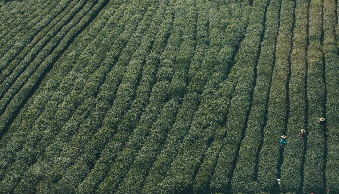 Showreel background